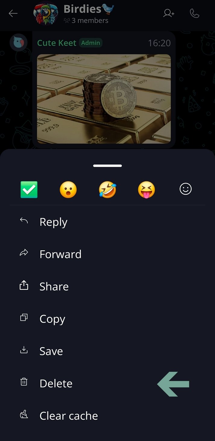 Deleting Files and Messages 🗑️ · Mobile Long-press the message / select 'Delete'.